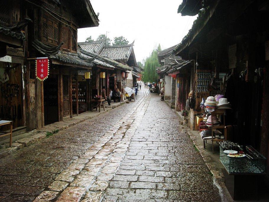 动物帮帮忙保卫家园